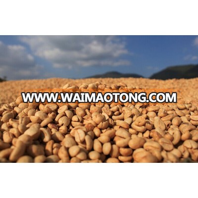 Organic $2.84/kg bulk Arabica slimming coffee beans