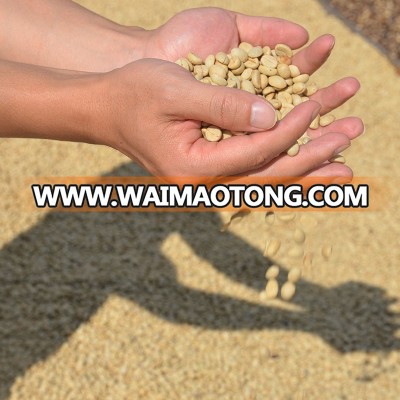 FDA green coffee beans bulk at low price